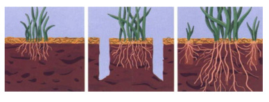 Soil aeration